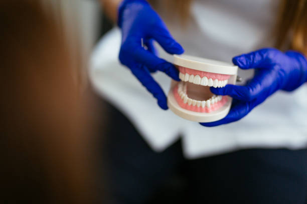 Best Dental Exams and Cleanings  in Clatskanie, OR